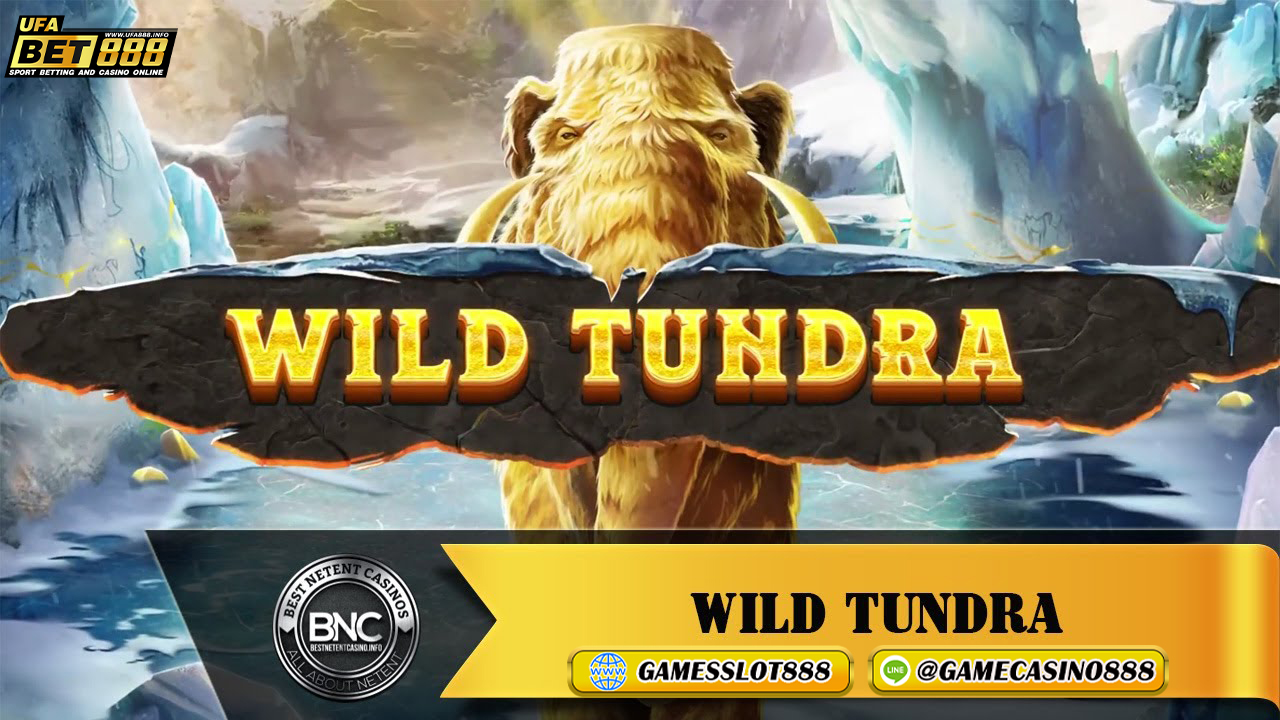 สล็อต Wild Tundra