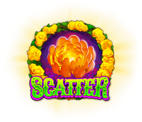 สัญลักษณ์ Scatter